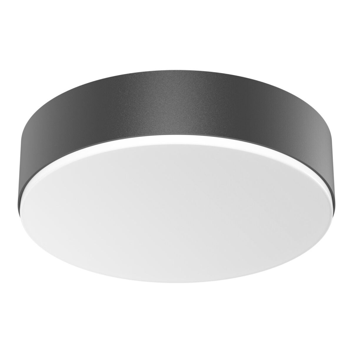 LED-Sensor-Leuchte RSPROA20 SC ww anthr