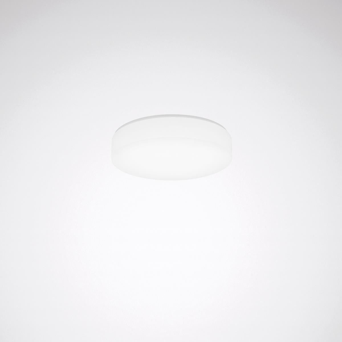 LED-Leuchte Olisq RWD1 #8193940 LED-Leuchte Olisq RWD1 #8193940