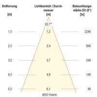 LED-Anbauleuchte ALG54251525