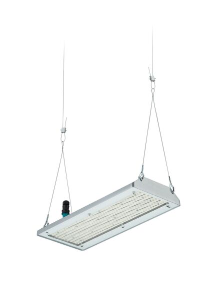 LED-Hallenleuchte BY580P 170 #58926100 LED-Hallenleuchte BY580P 170 #58926100
