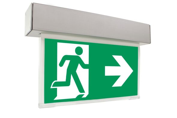 Sicherheitsleuchte ASMU411WB-WS Sicherheitsleuchte ASMU411WB-WS