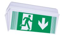 Sicherheitsleuchte PFD529CC
