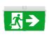 LED-Sicherheitsleuchte LEDExi #572005003800
