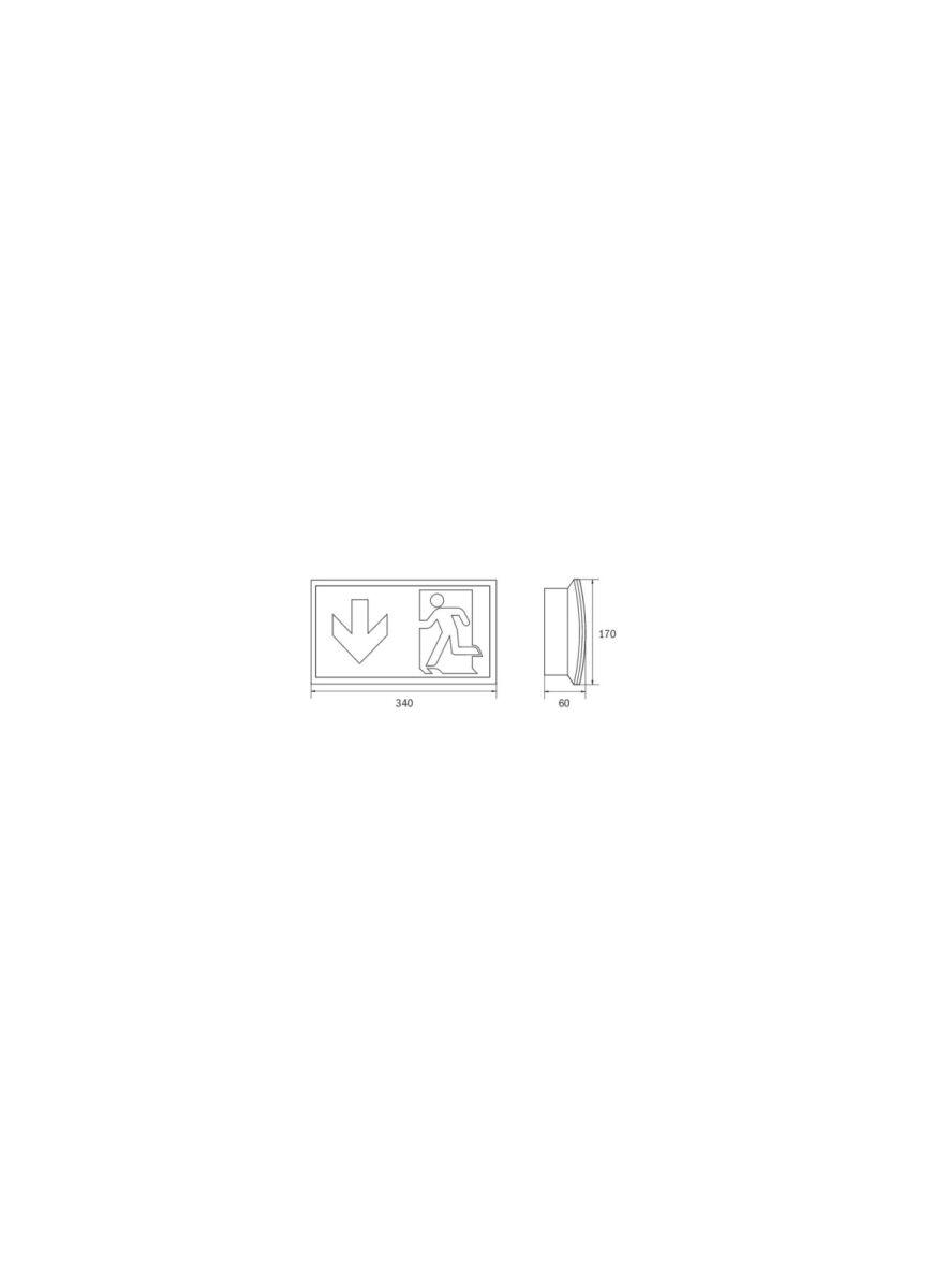 Sicherheitsleuchte KCW418SC-IP64