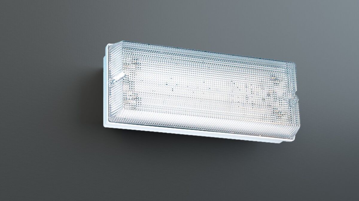 Sicherheitsleuchte PFW411SC-TT