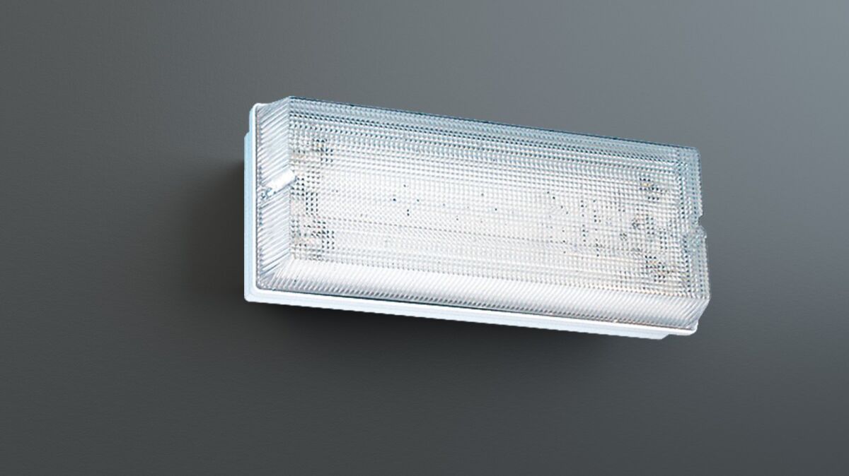 Sicherheitsleuchte PFW418SC-P-TT
