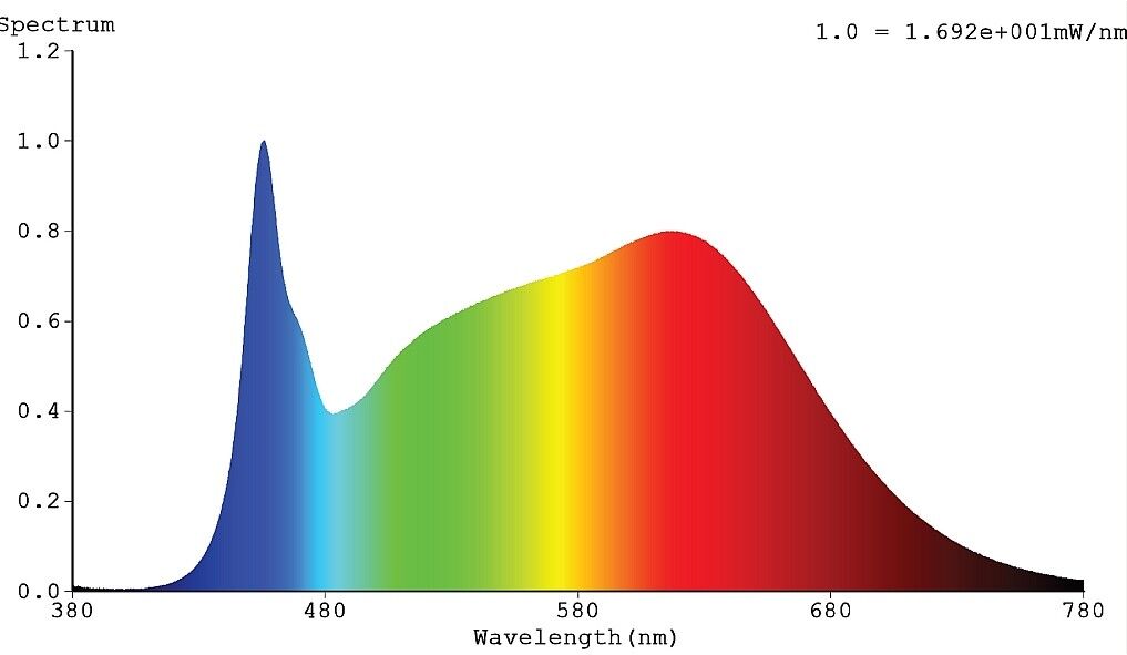 LED-Strip 24V RSTA4281