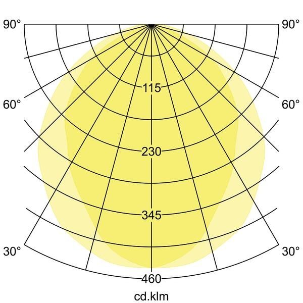 LED-Pendel-Ringleuchte 13540174