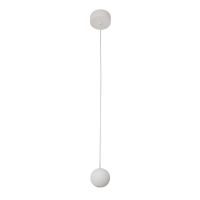 LED-Pendelleuchte 12119173