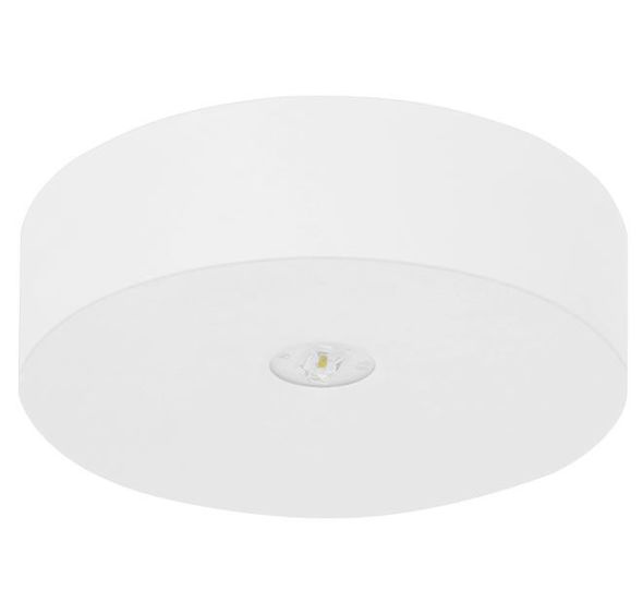 LED-Sicherheitsleuchte AXD315SC.V2 LED-Sicherheitsleuchte AXD315SC.V2