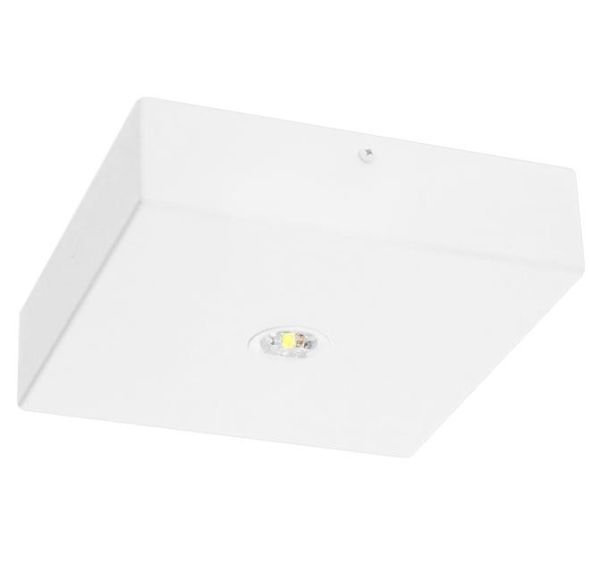 LED-Sicherheitsleuchte BQDE19I.V2 LED-Sicherheitsleuchte BQDE19I.V2