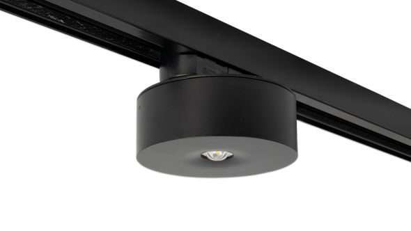 Sicherheitsleuchte ILDL421WL-SW-3P