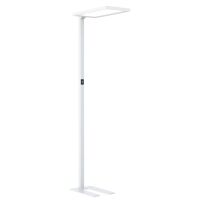 LED-Stehleuchte 5032-040240