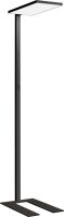 LED-Stehleuchte CF2ABX835HL600UASOFT