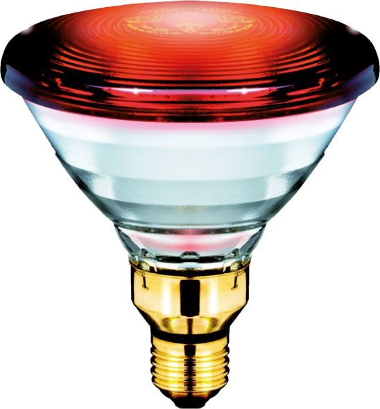 Infrarotlampe PAR38IR150 #16675398 Infrarotlampe PAR38IR150 #16675398