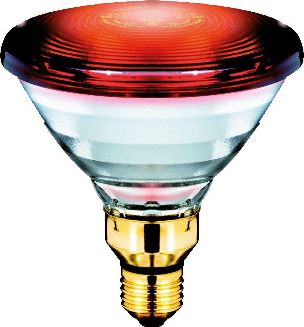 Infrarotlampe PAR38IR150 #16675398 Infrarotlampe PAR38IR150 #16675398