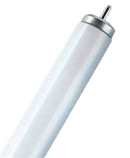 Leuchtstofflampe T12 45238 Leuchtstofflampe T12 45238