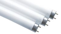 Leuchtstofflampe T8 68181