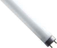 Entkeimungslampe T8 18101