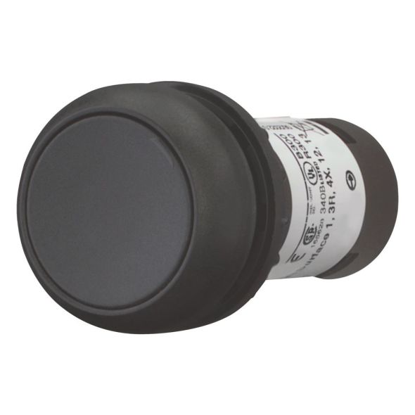 Drucktaste flach rastend C22S-DR-S-K11 Drucktaste flach rastend C22S-DR-S-K11