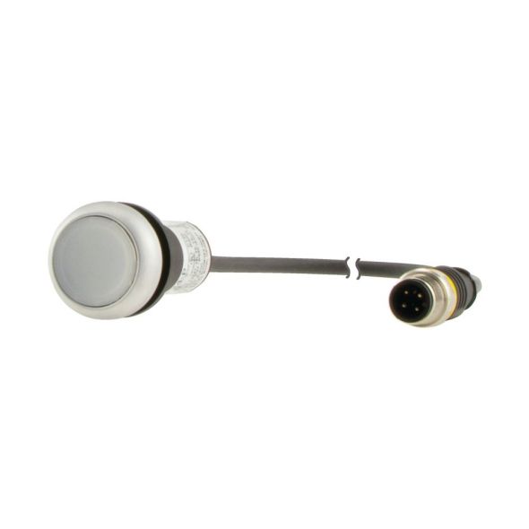 Leuchtdrucktaste Classic C22-DRL-W-K10-24-P5 Leuchtdrucktaste Classic C22-DRL-W-K10-24-P5