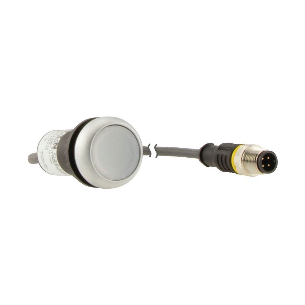 Leuchtdrucktaste Classic C22-DRL-W-K10-24-P1