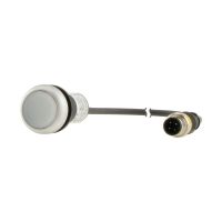 Leuchtdrucktaste Classic C22-DRL-W-K10-24-P1