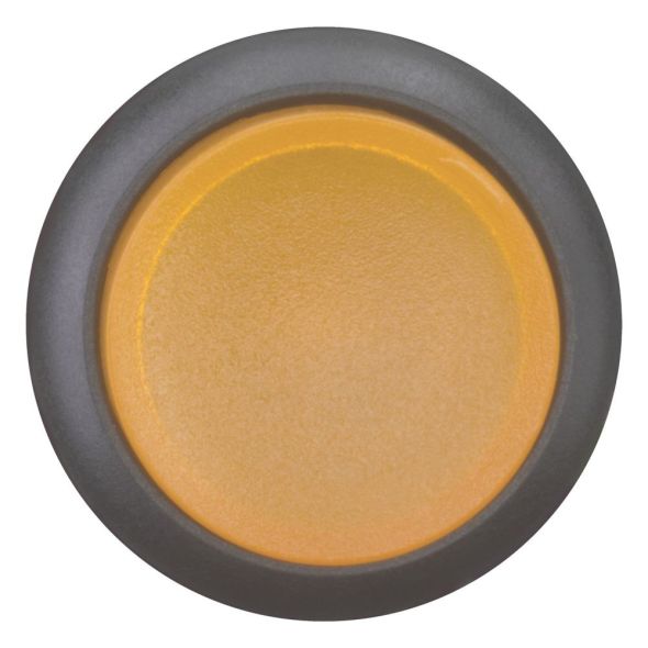 Leuchtdrucktaste RMQ-Titan M22S-DRLH-A Leuchtdrucktaste RMQ-Titan M22S-DRLH-A