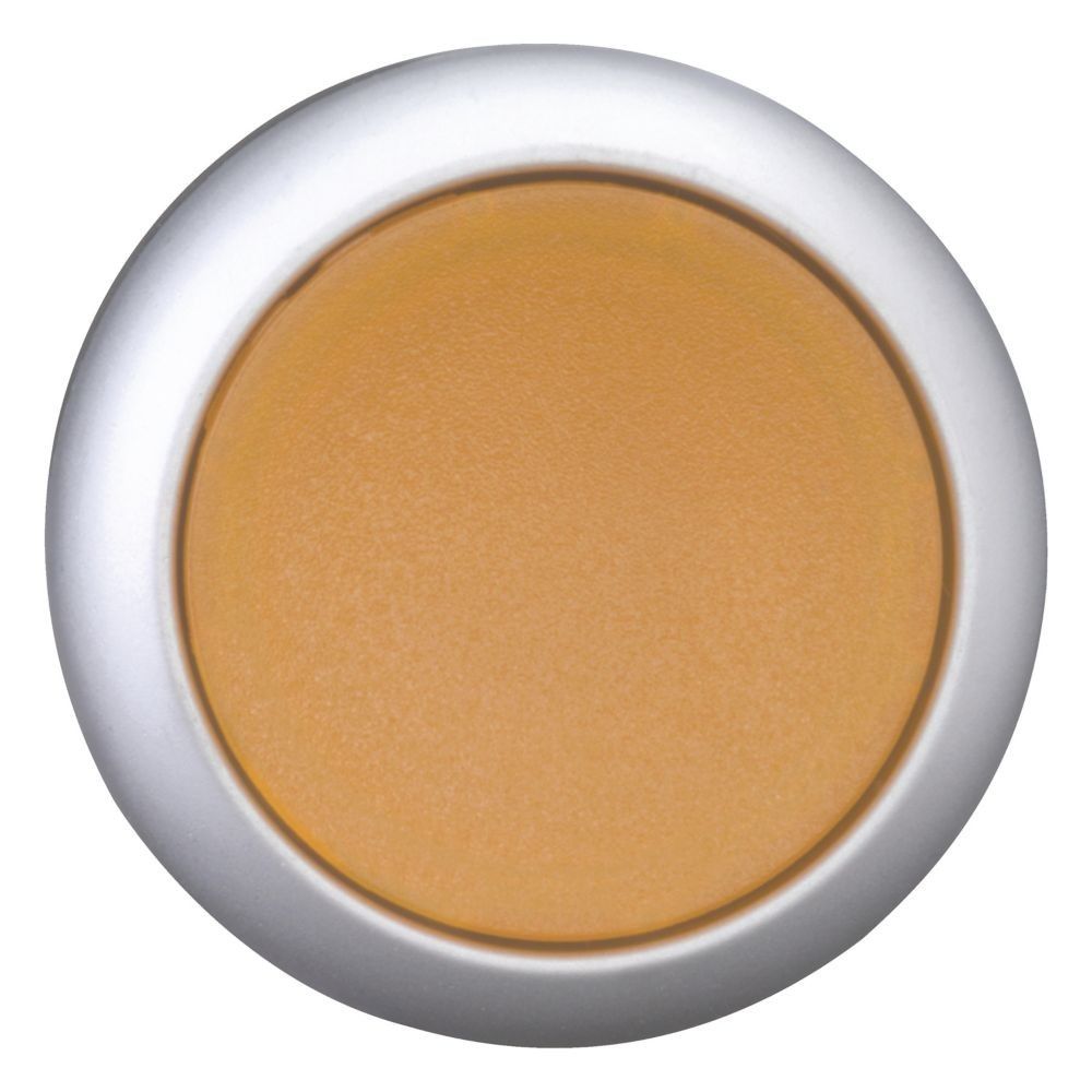 Leuchtdrucktaste RMQ-Titan M22-DL-A