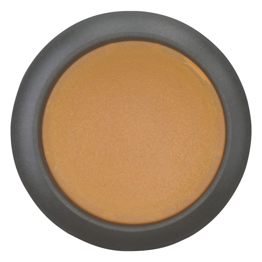 Leuchtdrucktaste RMQ-Titan M22S-DRL-A
