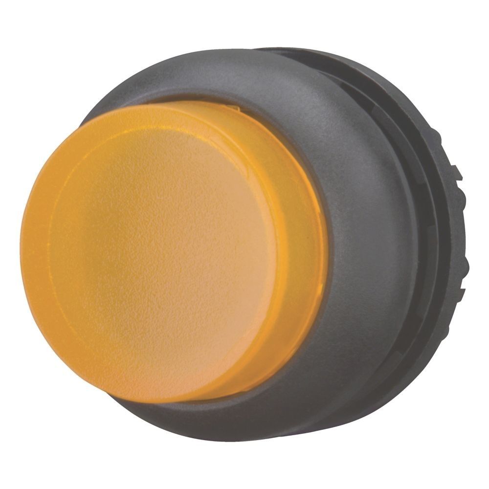 Leuchtdrucktaste RMQ-Titan M22S-DRLH-A