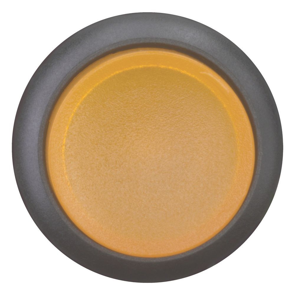 Leuchtdrucktaste RMQ-Titan M22S-DRLH-A