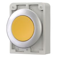 Drucktaste RMQ-Titan M30C-FD-Y