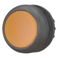 Leuchtdrucktaste RMQ-Titan M22S-DRL-A