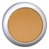 Leuchtdrucktaste RMQ-Titan M22-DL-A