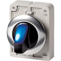 Leuchtwahltaste RMQ-Titan M30C-FWRLK-B