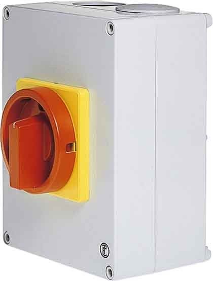 Haupt-Not-Aus-Schalter D2 01/HS-T8/2-D-MRG Haupt-Not-Aus-Schalter D2 01/HS-T8/2-D-MRG