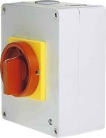 Haupt-Not-Aus-Schalter D5 00/HS-F45-D-RG