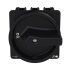 Hauptschalter P3-80/EA/SVB-SW