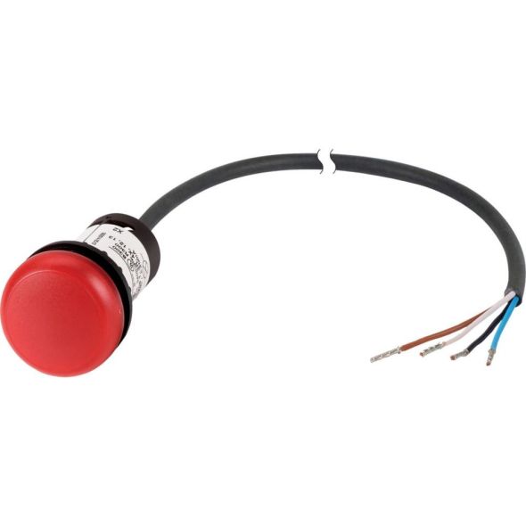 Leuchtmelder 4polig 1m C22-L-R-24-P62 Leuchtmelder 4polig 1m C22-L-R-24-P62