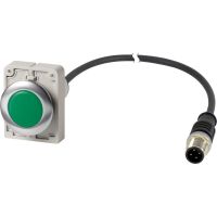 Leuchtmelder 4polig 1m C30C-FL-G-24-P5