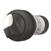 Wahltaste mit Knebelgriff C22S-WKV-K02
