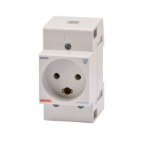 Steckdose dänisch 2,5TE GW96526