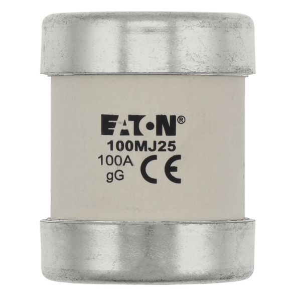 Sicherungseinsatz 100MJ25-6 Sicherungseinsatz 100MJ25-6