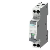 FI/LS kompakt 1P+N 4,5kA 5SV1313-6KK13