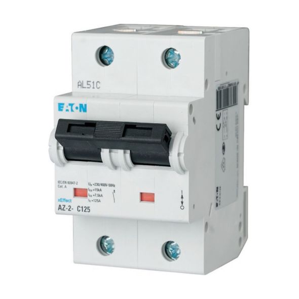 LS-Schalter 100A 2p AZ-2-D100 LS-Schalter 100A 2p AZ-2-D100