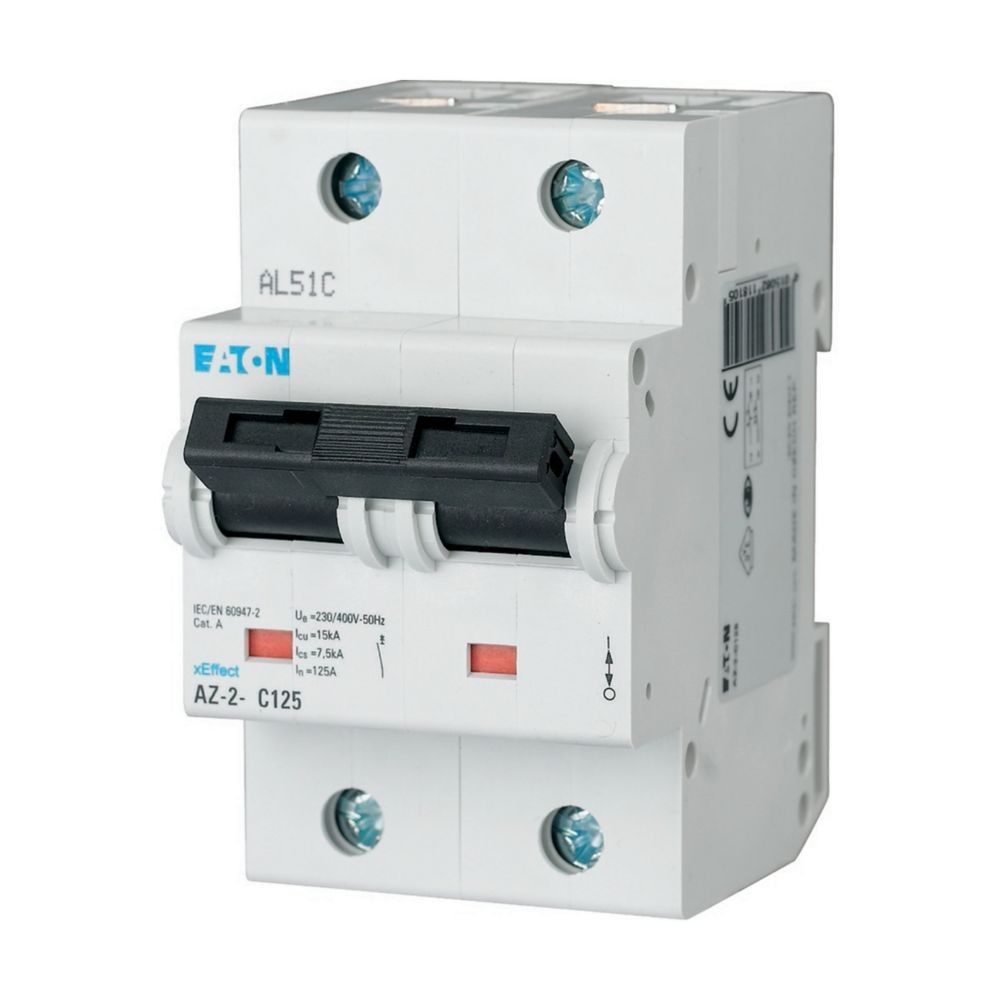LS-Schalter 100A 2p AZ-2-D100 LS-Schalter 100A 2p AZ-2-D100