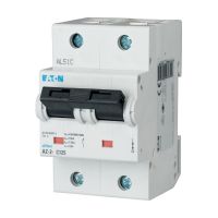 LS-Schalter 100A 2p AZ-2-D100