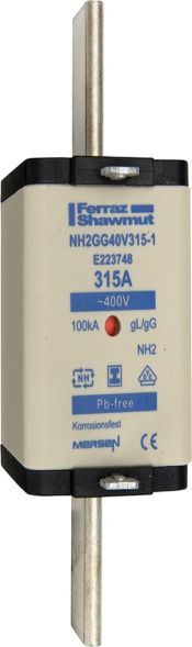 Sicherungseinsatz NH gG NH2GG40V50-1