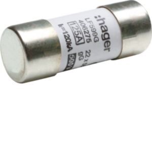 Zylindersicherung LF599G Zylindersicherung LF599G